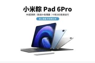 雷竞技pc版本截图4